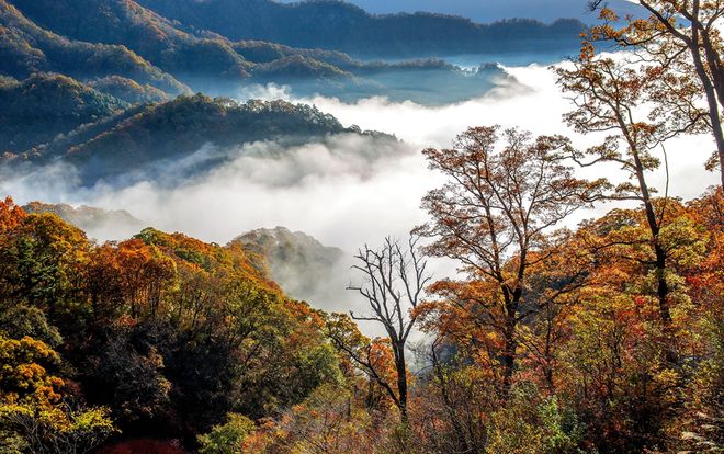 完美体育官网安徽一处“不起眼”的小众景区景致不输塔川还被誉为百宝山！(图1)