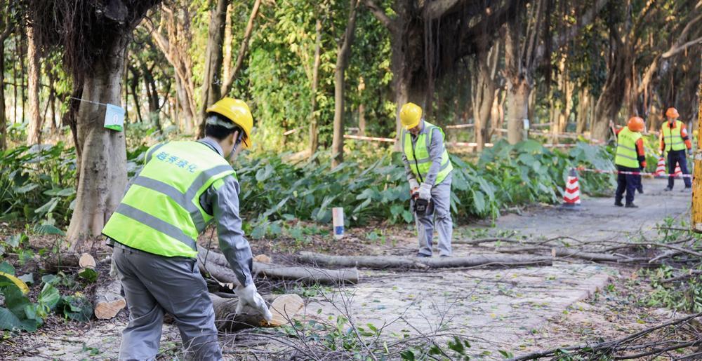 “羊城工匠杯”首个绿化才能修剪专项竞赛开启完美体育官网(图4)