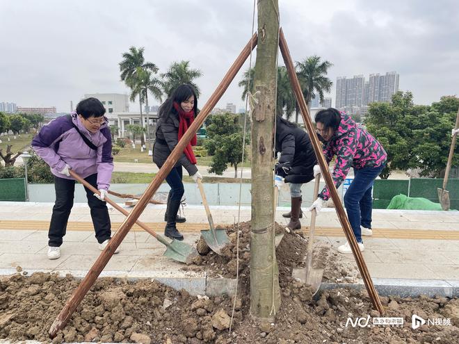 完美体育官网“全民植树月”来了！各界出席让佛山禅城更“绿”更“美”(图4)